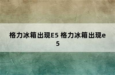 格力冰箱出现E5 格力冰箱出现e5